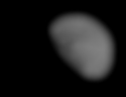 Member Image