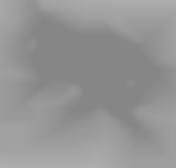 Member Image