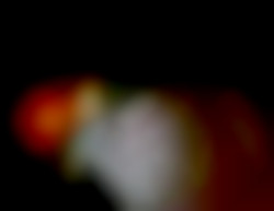 Member Image