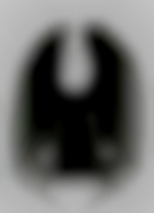 Member Image