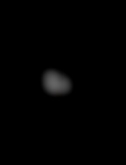 Member Image