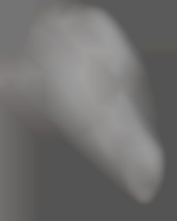 Member Image