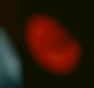 Member Image