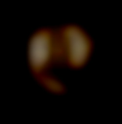 Member Image