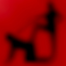 Member Image