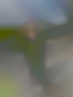 Member Image