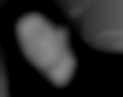 Member Image