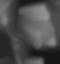 Member Image