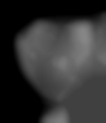 Member Image
