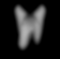 Member Image