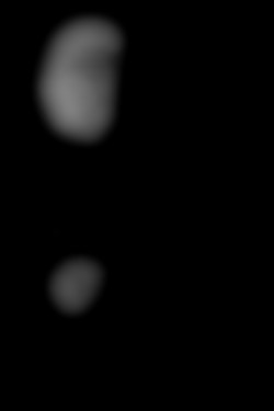 Member Image