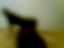 Member Image