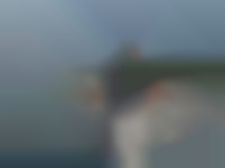 Member Image