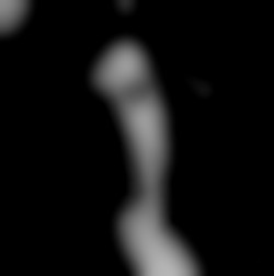 Member Image