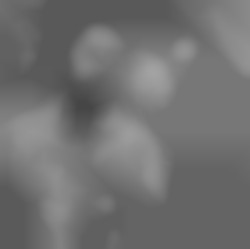 Member Image