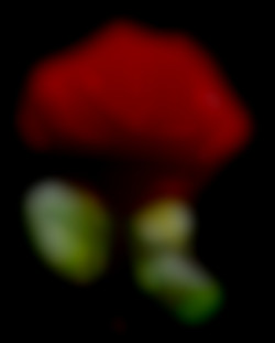 Member Image