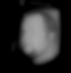 Member Image