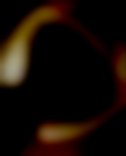 Member Image