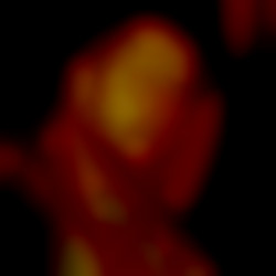 Member Image