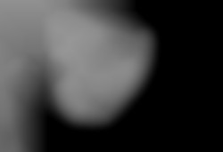 Member Image