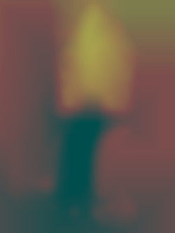 Member Image