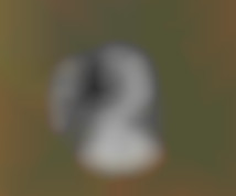Member Image
