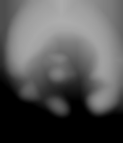 Member Image