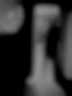 Member Image
