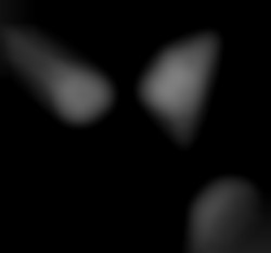 Member Image