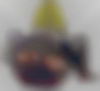 Member Image