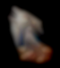 Member Image