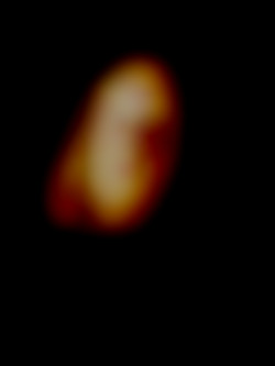 Member Image