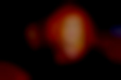 Member Image