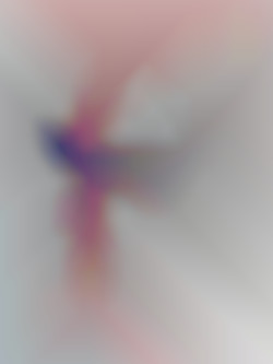 Member Image