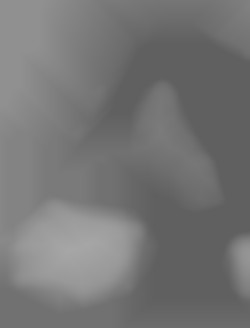 Member Image