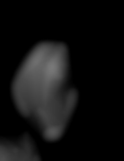 Member Image