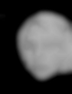 Member Image