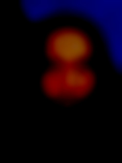 Member Image