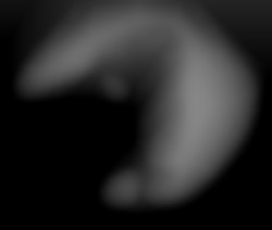 Member Image