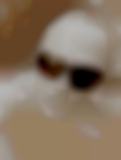 Member Image
