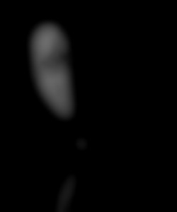 Member Image