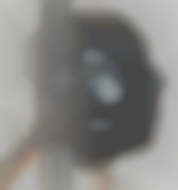 Member Image