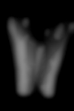 Member Image
