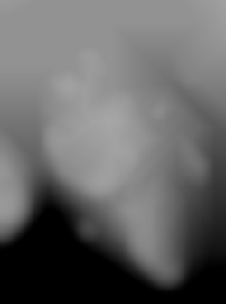 Member Image