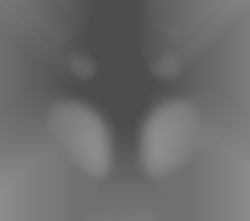 Member Image
