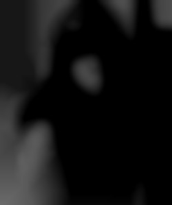 Member Image