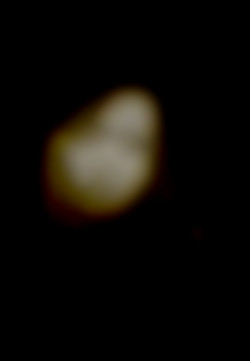 Member Image