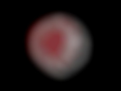 Member Image