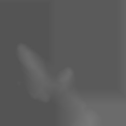Member Image