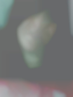 Member Image